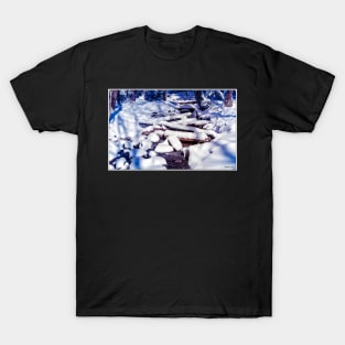 Winter Snow on a Spring Brook T-Shirt